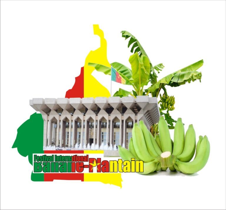 WhatsApp Image 2024-05-06 at 07.43.13