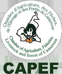 WhatsApp Image 2024-07-29 at 11.10.22